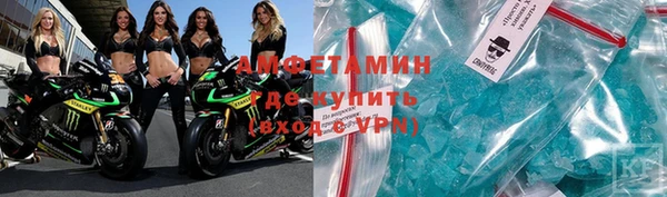 ПСИЛОЦИБИНОВЫЕ ГРИБЫ Богданович