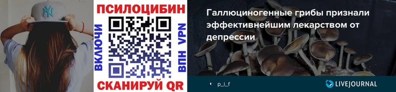 Галлюциногенные грибы мицелий  закладки  блэк спрут ONION  Козловка 
